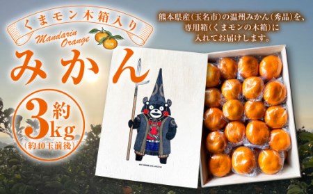 【2024年11月発送開始】くまモン木箱入り みかん 約3kg 柑橘 果物 蜜柑