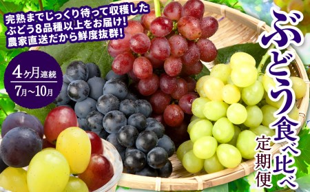 【4か月連続定期便(2024年7月～10月)】ぶどう食べ比べ定期便4ヵ月 約1.8kg×4回 合計 約7.2kg ブドウ 葡萄