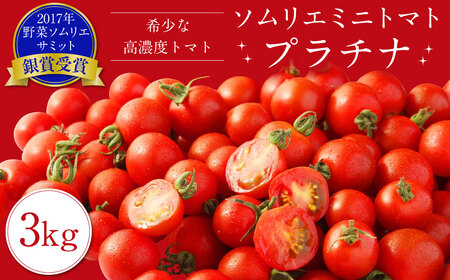 【2023年12月下旬発送開始】ソムリエ ミニトマト  プラチナ 3kg とまと トマト