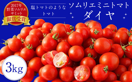 【2023年12月上旬発送開始】ソムリエ ミニトマト ダイヤ 3kg とまと トマト