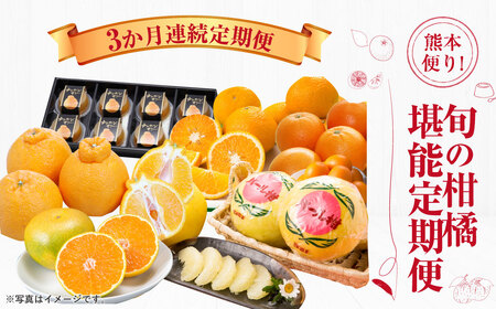 【2025年1月～4月より3か月連続発送】熊本便り！ 旬の柑橘堪能定期便