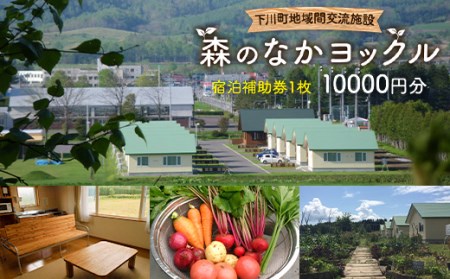 下川町 地域間交流施設 森のなかヨックル 宿泊補助券 10000円 北海道 コテージ F4G-0118