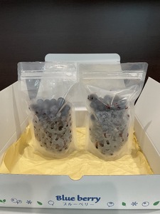 あいさいベリー（冷凍果実）250g×2パック  ブルーベリー フルーツ 冷凍 愛西市/あいさいベリーLABO [AEBZ005]