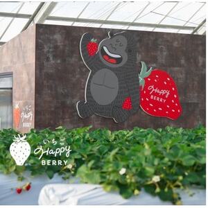 愛知県東郷町いちご農園いちごHappyBerryの冷凍いちご〈訳あり)【配送不可地域：離島】【1470510】