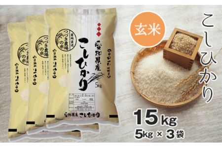No.139 【玄米】 令和5年産 つづき農場のコシヒカリ 15kg