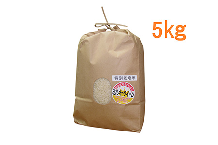 【2629-0099】東浦町のミルキークィーン 5kg/お米 ミルキークイーン 特別栽培米 愛知県