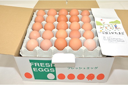【2629-0120】ごほうびたまご／卵 生卵 タマゴ 新鮮 愛知県