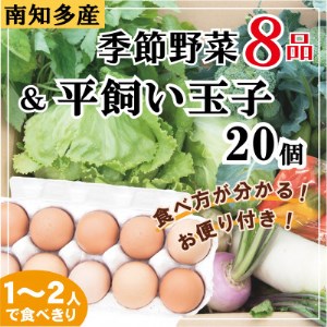 さとの平飼い玉子20個＆季節の野菜セット【1300901】