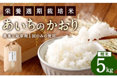 幸田町産「栄養週期栽培米」あいちのかおり 5kg 白米 精米 お米