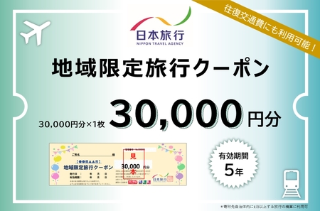 日本旅行地域限定旅行クーポン 30,000円分