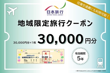 e_22　日本旅行　地域限定旅行クーポン（30,000円分）