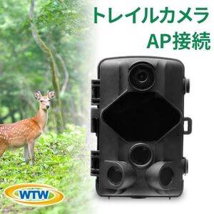 トレイルカメラ 4200万画素 監視・防犯カメラ 乾電池 電源不要 WTW-TC31AP【1412157】
