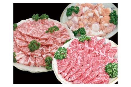 紀和牛赤身焼肉・ロース焼肉・牛腸セット　TM-25