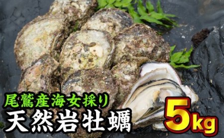 海女採り 尾鷲産天然岩牡蠣（いわがき）　大容量５kgセット（カキ平均サイズ約400g）