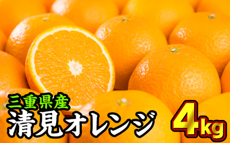 三重県産　清見オレンジ（きよみ） ４kg【出荷目安：３月中旬から４月中旬】 II-53