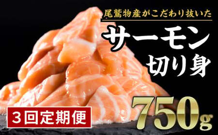 【定期便３回】生食用サーモン切り落し　大満足750gセット　OB-26