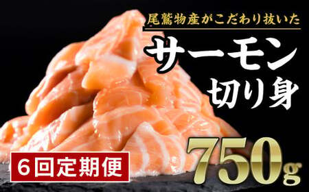 【定期便６回】生食用サーモン切り落し　大満足750gセット　OB-27