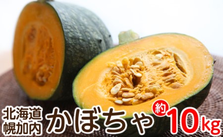 特別栽培 北海道 幌加内産 かぼちゃ 約10kg