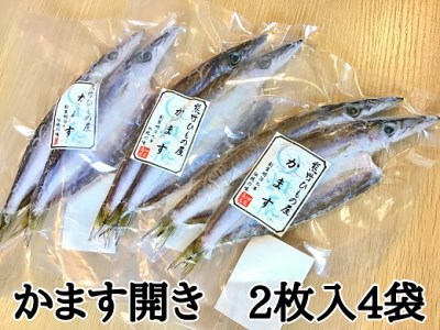 熊野の老舗干物屋　畑辰商店【かます開き☆2尾入り】×4袋