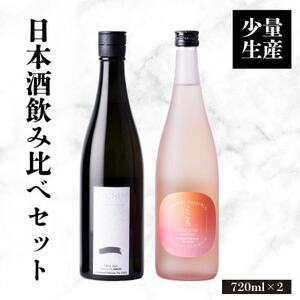 日本酒 「一 -ICHI」「ここち」飲み比べセット 720ml 各1本+実りの百年米300g【1452915】