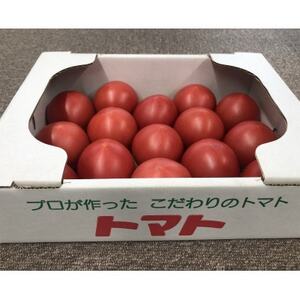 木曽岬産トマト 1.5～2kg【1274514】