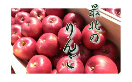6-012-504　りんご 5kg（2種～4種）【10月発送】