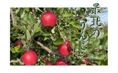 6-012-505　りんご 5kg（2種～4種）【11月発送】