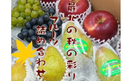 6-012-055　山口さんちの旬なフルーツ詰合わせ【10月～発送】