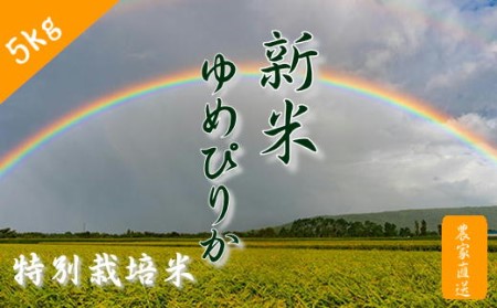 6-012-060　新米・増毛町産特別栽培米 ゆめぴりか 5kg【前野ファーム】
