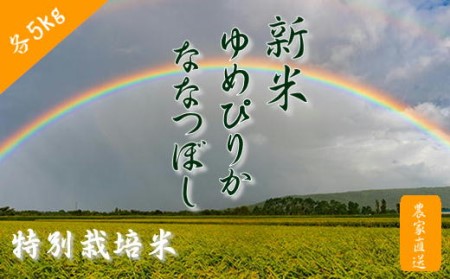 6-020-004　新米・増毛町産ななつぼし・特別栽培米ゆめぴりか 各5kg【前野ファーム】
