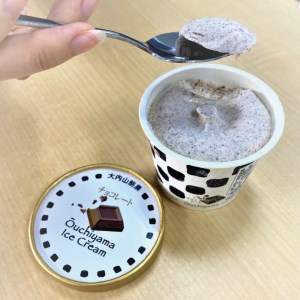 アイス チョコ チョコレート セット 大内山 スイーツ 詰め合わせ 人気 / 大内山アイスクリーム　チョコレート8個【khy013B】