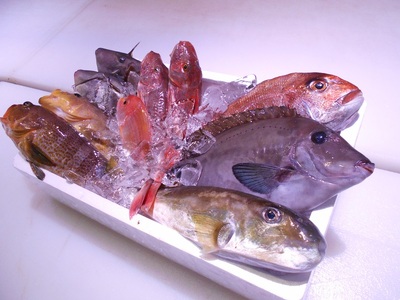 ＼朝どれ新鮮／ 鮮魚セット (小) 約3kg 目利きのプロが厳選した旬の魚をその日の内に発送！ 【nss404】