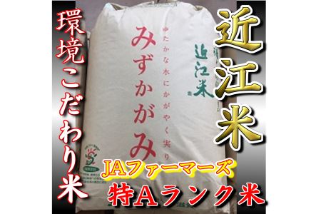 【令和5年産】環境こだわり米「みずかがみ」玄米【30㎏×1袋】【K073SM】
