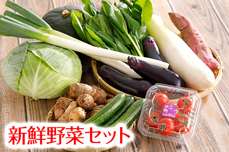 近江野菜詰め合せセット【1.5㎏～2㎏】【K002SM】