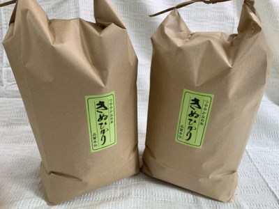 令和5年産　近江米　キヌヒカリ【10kg（5kg×2袋）】環境こだわり米【AB63SM】