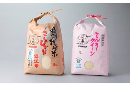 【C-531】よこいファーム 特別栽培米食べ比べ２種計10kg ［高島屋選定品］