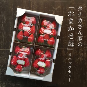 農家さんのおまかせ苺4パックセット　A-G03　株式会社ＴＫＳ 東近江