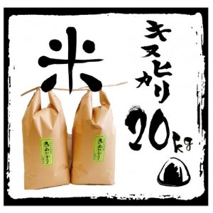 令和4年産 特別栽培　近江米 『キヌヒカリ』20kg(5kg×4)【1131160】