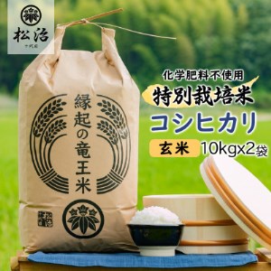 【令和4年産新米先行受付】十代目松治の特別栽培米コシヒカリ「縁起の竜王米」 玄米20kg【1281872】