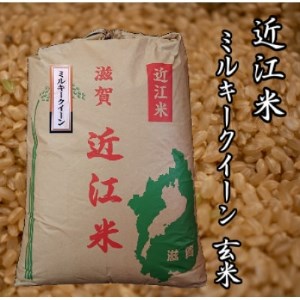 【先行受付】令和4年産新米　近江米ミルキークイーン30kg(玄米)　米粉200g付き【1323339】