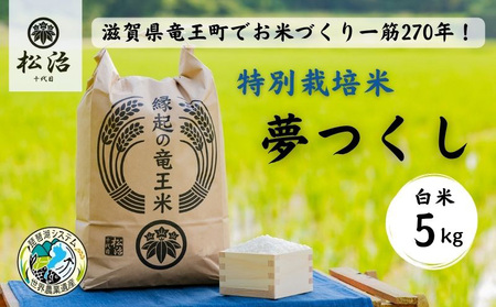 【令和4年産特別栽培米】 270年続くお米農家が作った夢つくし　白米5kg 「縁起の竜王米」
