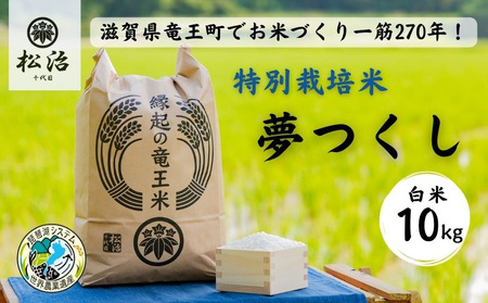 【令和4年産特別栽培米】270年続くお米農家が作った夢つくし　白米10kg 「縁起の竜王米」