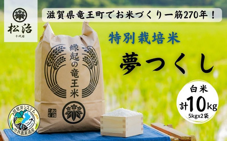 【令和4年産特別栽培米】270年続くお米農家が作った夢つくし　白米10kg(5kgx2袋) 「縁起の竜王米」
