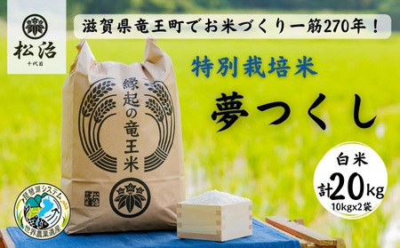 【令和4年産特別栽培米】270年続くお米農家が作った夢つくし　白米20kg(10kgx2袋) 「縁起の竜王米」