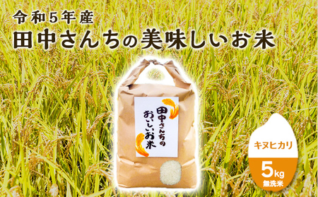 令和5年産田中さんちのおいしいお米A　キヌヒカリ5kg（無洗米）