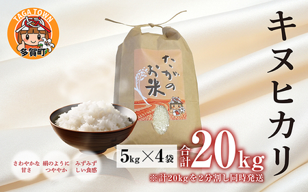 【令和5年産】キヌヒカリ20kg（5kg × 4袋） おいしい多賀のお米