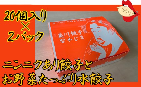 【夷川餃子なかじま】京都特産ぽーく「ニンニクあり餃子とお野菜たっぷり水餃子」のセット