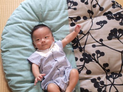 【洛中高岡屋】赤ちゃんが自然と笑顔になる 『せんべい座布団』（すぐりブラック&砧青磁）