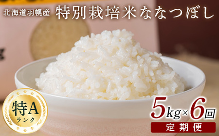 【令和5年産】【定期便：6回】令和5年産　北海道羽幌産特別栽培米ななつぼし5kg【08115】