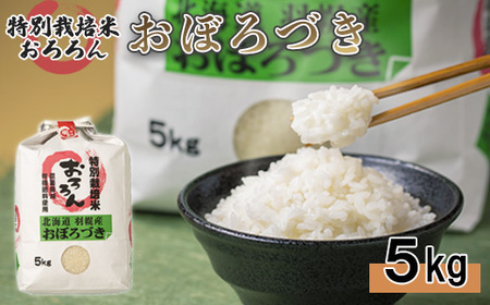 【令和5年産】北海道羽幌産　特別栽培米おぼろづき5kg【08118】